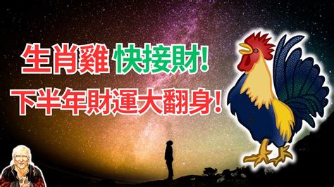 屬雞幸運物|雞年開運色：2024年必備指南